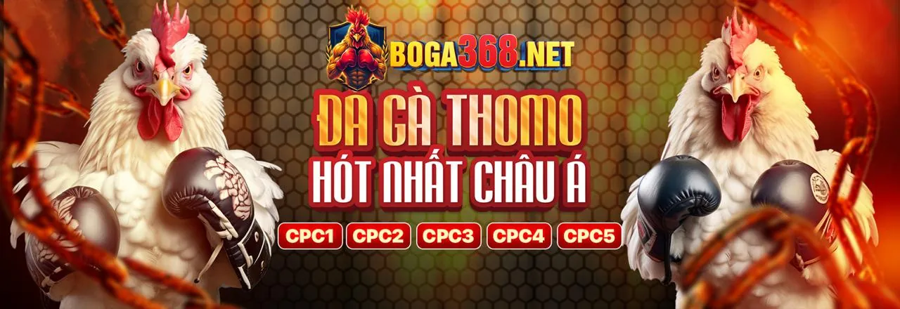Đá Gà Trực Tuyến hi8823 ios